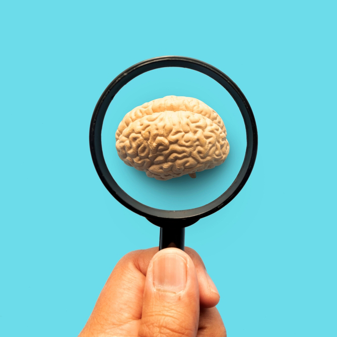 Corso di laurea in Psicologia online