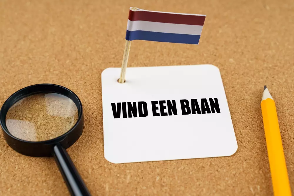 Dalla laurea al lavoro nei Paesi Bassi: cosa devi sapere prima di restare