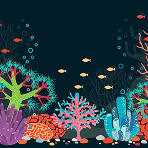 Come diventare idrografo o oceanografo